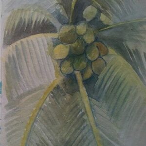Sketch: Coco palm study