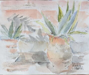 Sketch: Plants at Skoura