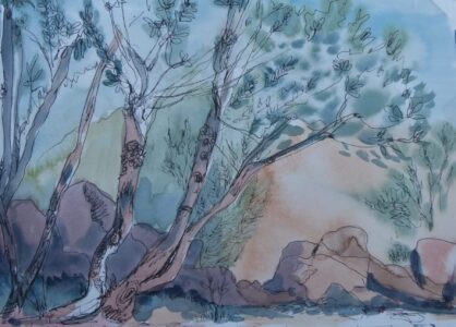 Sketch: Cathy's Trees at Benchijigua