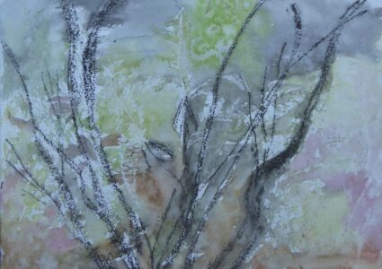Sketch: Cathy's textures at Garanojay