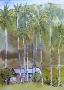Sketch: Jungle house, Deniyaya