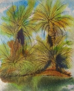 Sketch: Safsaf oasis
