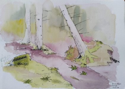 Sketch: Alex's Black Rock Gorge