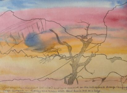 Sketch: Anita's desert tree