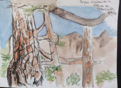 Sketch: Caldera de Taburiente (Bernadette)
