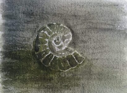 Sketch: Eva's fossil