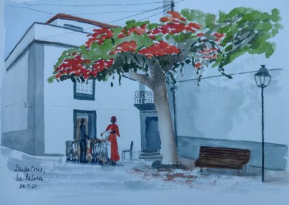 Sketch: Flame trees, Santa Cruz (Claire)