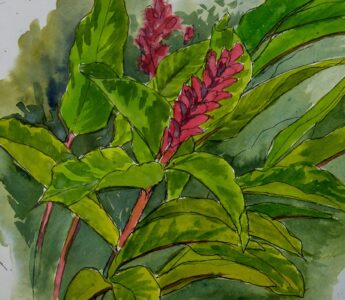 Sketch: Flowers around the pool