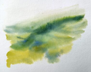 Sketch: Misty tea plantation study