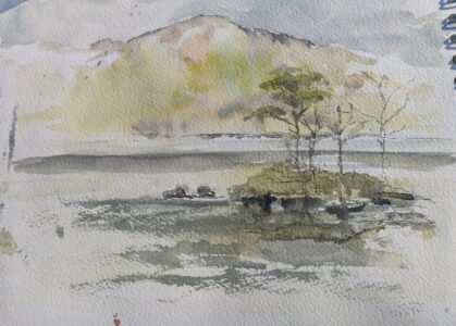 Sketch: Islet, Loch Assynt