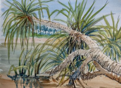 Sketch: Spiky beach plants
